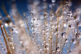 Tropfen in blau/silber...  von Els Fonteine