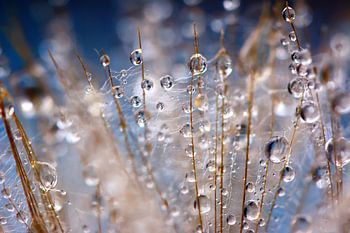 druppels in blauw/zilver... 