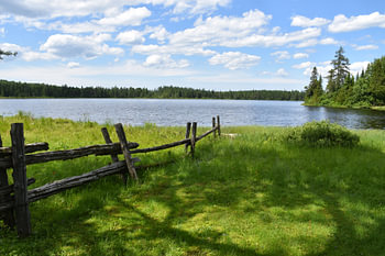 Vue du lac en été