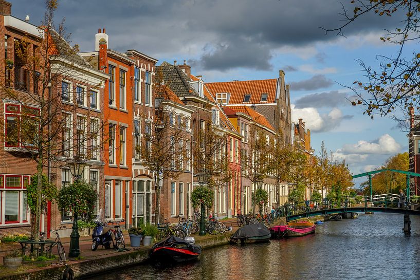 Le vieux Rhin de Leyde par Dirk van Egmond
