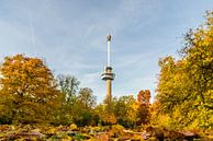 Euromast omgeven met herfstkleuren van Tony Buijse thumbnail