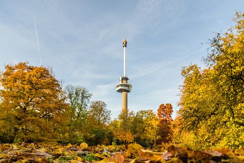 Euromast omgeven met herfstkleuren