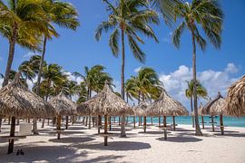 Aruba by Joyce Perez