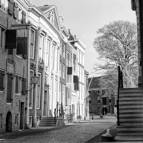 Dordrecht, Houttuinen