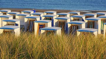 Strandleven! van Dirk van Egmond