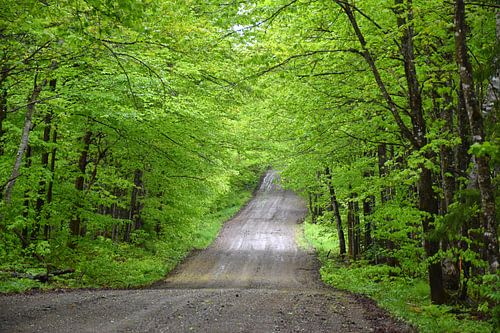 Eine Landstraße im Frühling von Claude Laprise