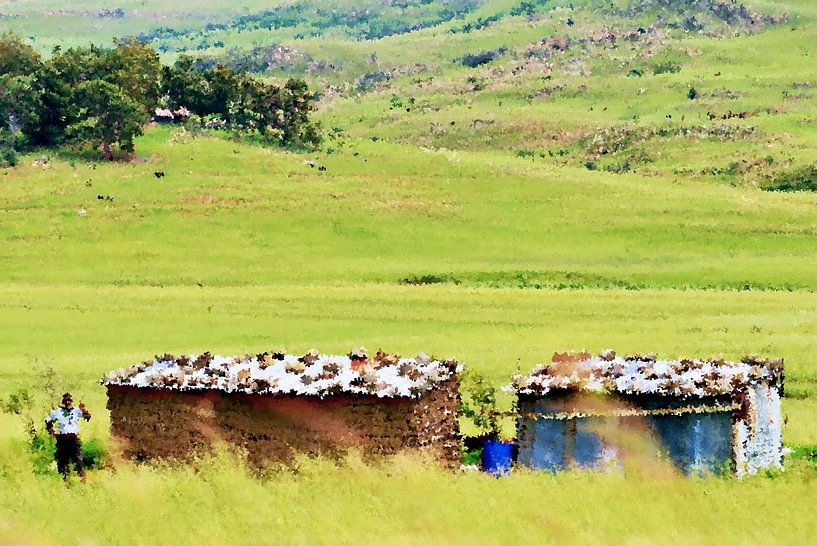 petites cabanes dans le Drakensberg au Kwazulu Natal Impression par Werner Lehmann