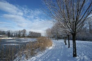 Echtes niederländisches Winterwetter mit Schnee und strahlendem Sonnenschein. von Gert van Santen