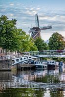 Authentic Dokkum