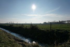 Weiland in de vroege ochtend van Robert van Nieuwaal