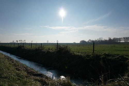 Weiland in de vroege ochtend