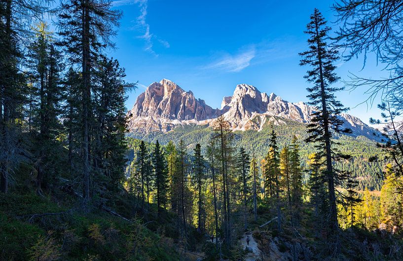 Forest and mountains in the Dolomites by Menno van der Haven