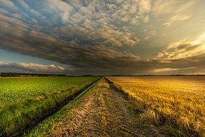 Nederlandse zonsondergang  Noordoostpolder van Martien Hoogebeen Fotografie