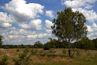 landschap plateaux