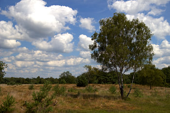 landschap plateaux