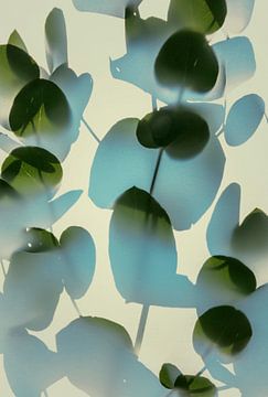 Leaf shadow #2 by tim eshuis