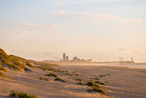 Scheveningen in the Evening Light