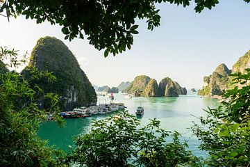 Ha Long Bay, Vietnam van Gijs de Kruijf