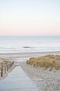 Sunrise In Egmond Aan Zee by Henrike Schenk thumbnail