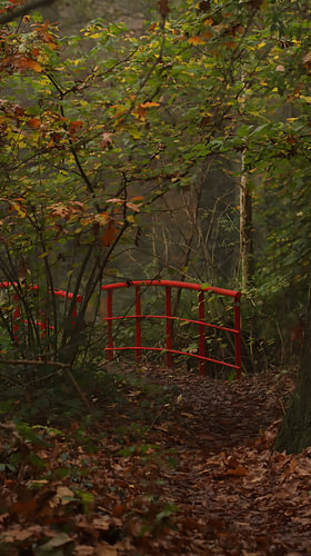 Het Rode Bruggetje in het Herfstbos
