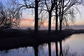 Les arbres du Thesingermaar 3 sur Erik Buitenhuis