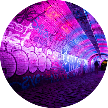 Roze tunnel van Brigitte Mulders