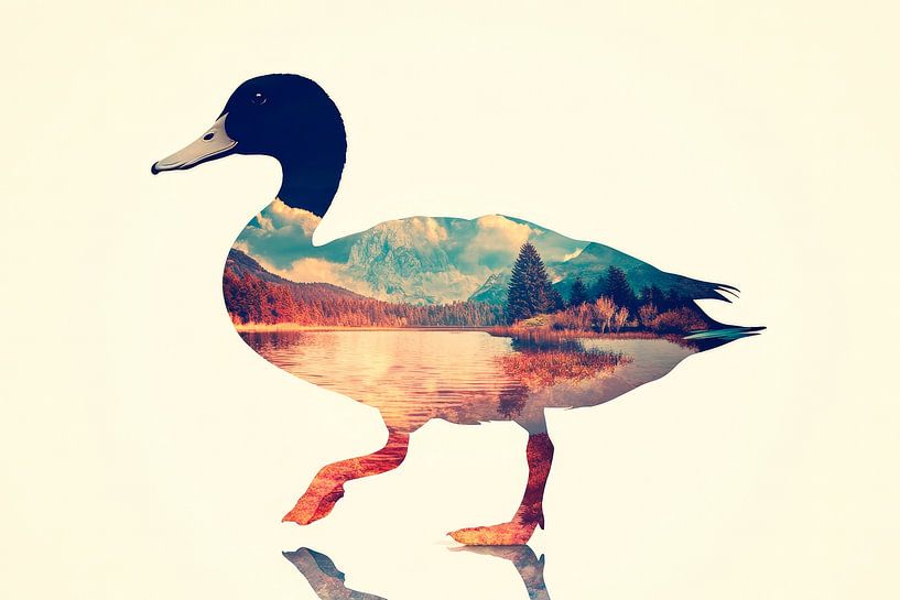 Paysage de canards par Poster Art Shop
