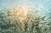 Frozen windshield