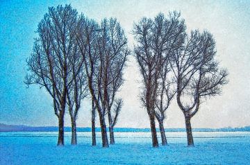Winterbeeld Kralingse Plas van Frans Blok