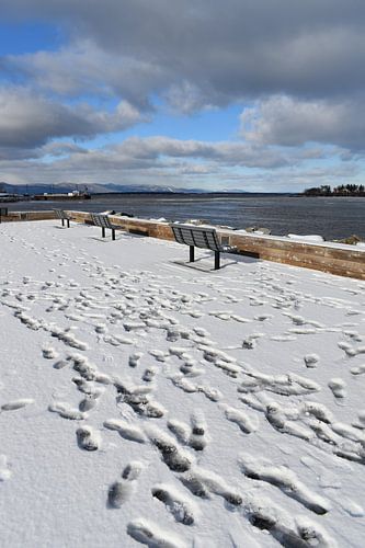 Het werfpark in de winter