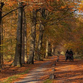 L'automne aux Pays-Bas ! sur Arnold Loorbach Photography