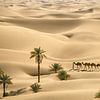 Sahara woestijn. Bedoeienen met kamelenkaravaan van Frans Lemmens