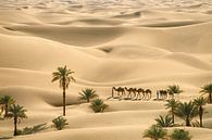 Le désert du Sahara. Bédouins avec des chameaux par Frans Lemmens Aperçu