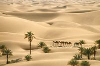 Sahara woestijn. Bedoeienen met kamelenkaravaan
