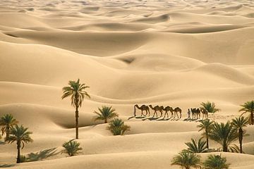 Sahara desert. Bedouins with camels by Frans Lemmens