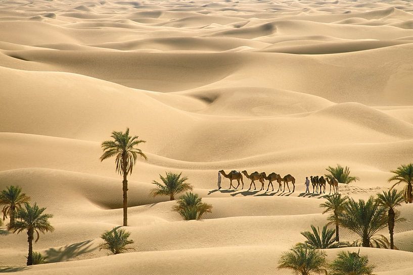 Le désert du Sahara. Bédouins avec des chameaux par Frans Lemmens