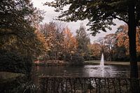 Ein schöner Herbsttag im Stadtpark Gronau, Deutschland (4)