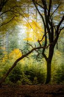 Gemeinsam sind Sie stark