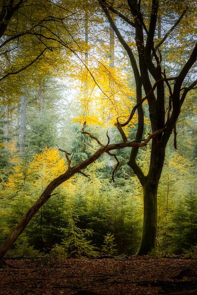 Together you stand strong by Jaimy Leemburg Fotografie