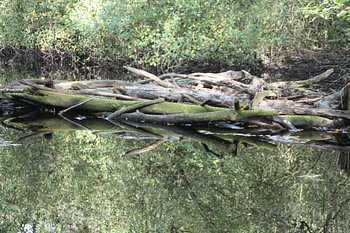 Reflektionen 102