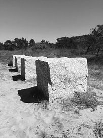 Briks von Frank Postma