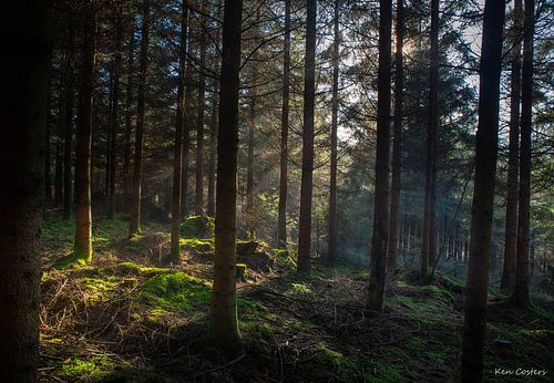 Bring light to darkness