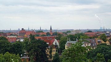 Uitzicht over Halle Saale