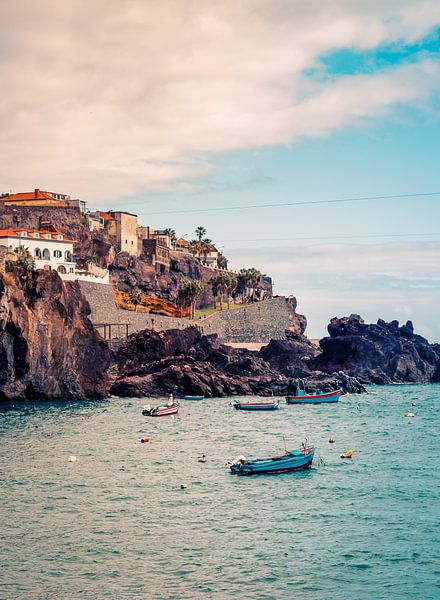 Camara de lobos, Madera by Alette Jager