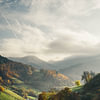 Schwarzwald Poster & Bilder