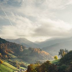 Schwarzwald Poster & Bilder