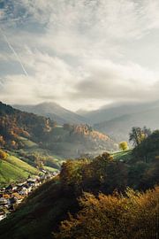 Idylle in the Black Forest by Patrycja Polechonska