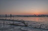 From Lekdijk Amerongen - Wijk bij Duurstede by Moetwil en van Dijk - Fotografie thumbnail