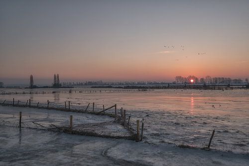 Vanaf Lekdijk Amerongen - Wijk bij Duurstede