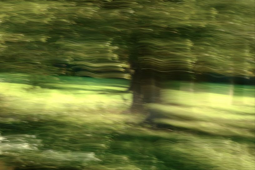 Dancing tree in the wind (ICM) by Carla van Zomeren